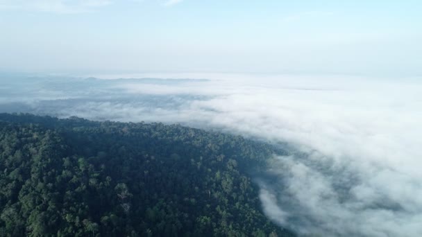 Вид Воздуха Плавающее Море Облаков Туманные Волны Высоких Горах Море — стоковое видео