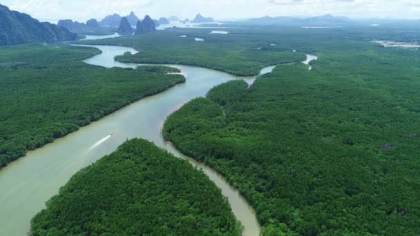 Pemandangan Udara Hutan Mangrove Hijau Yang Indah Dengan Puncak Pegunungan — Stok Video