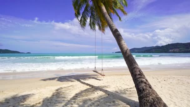 Palme Spiaggia Davanti Bella Natura Paesaggio Cielo Blu Vista Mare — Video Stock