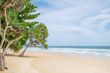 Boş tropikal yaz plajı arka planında yeşil ağaçlar çerçeveyi mavi gökyüzü ve beyaz kumsal plajı ile kaplıyor kumlu sahile çarpıyor Phuket Tayland 'daki inanılmaz plaj