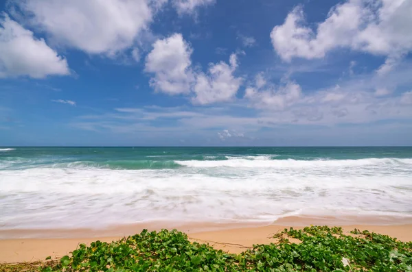 Boş tropikal yaz plaj arka planı gökyüzü ve kumlu sahile vuran beyaz kumsal dalgası ile Horizon