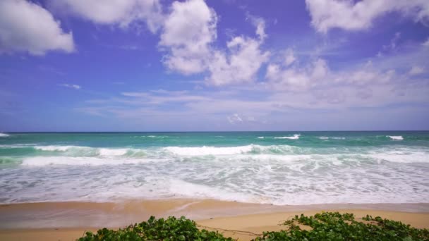 阳光明媚的夏日 美丽的海滨 海浪冲刷在沙滩上 泰国普吉岛天气晴朗 — 图库视频影像