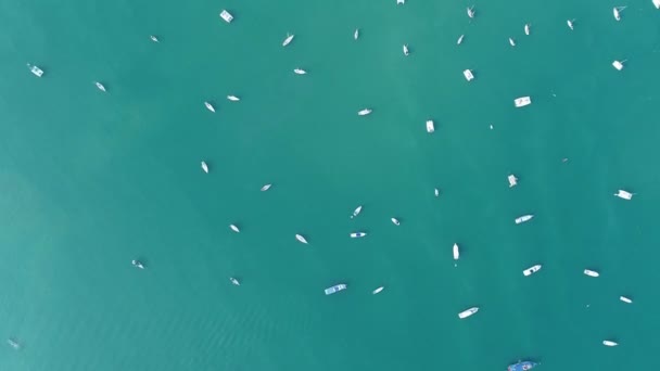 내리쬐는 여름날에 바다를 항해하는 요트의 놀라운 비디오 아름다운 — 비디오