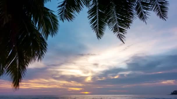 Time Lapse Colorful 파스텔 색상의 코코넛 야자수 어메이징 해변의 놀라운 — 비디오