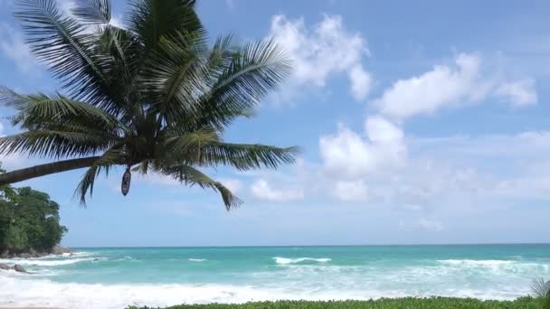晴れた夏の日にプーケットの熱帯ビーチにヤシの木があるプーケット島の素晴らしいビーチ砂浜に向かって波がクラッシュしている地平線を見下ろす自然背景 — ストック動画