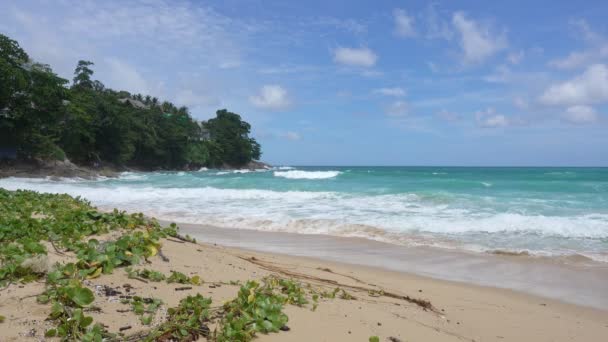 日当たりの良い夏の日に砂浜で波がクラッシュする美しい海岸プーケット島での天気の良い日タイ — ストック動画