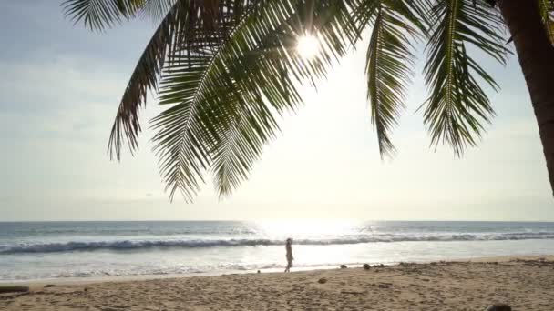 Coqueiro Palmeira Ilha Tropical Praia Incrível Phuket Tailândia Linda Viagem — Vídeo de Stock