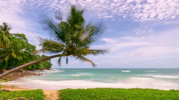 Timelapse Summer Fundo Paraíso Phuket Ilha Com Uma Palmeira Céu — Vídeo de Stock