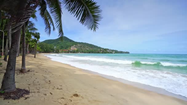 Güneşli Bir Yaz Gününde Phuket Tayland Tropikal Sahillerinde Hindistan Cevizi — Stok video