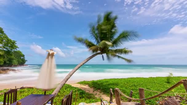 Sfondo Estivo Paradiso Isola Phuket Con Una Palma Cielo Blu — Video Stock