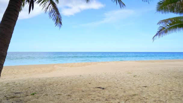 Amazing Beach Dans Île Phuket Avec Des Cocotiers Dans Les — Video