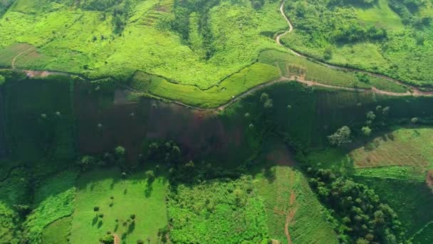 空中ビュードローンは山や自然林の風景を撮影ビュー山の上に美しい光の日の出 — ストック動画