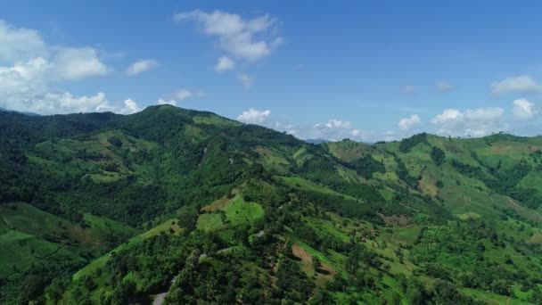 空中无人机拍摄的夏季绿树在热带雨林 美丽的自然景观森林山 — 图库视频影像
