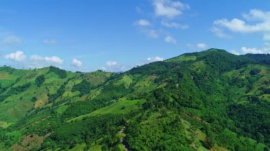 Yağmur ormanlarındaki yeşil ağaçların hava aracı görüntüleri, güzel doğa manzarası dağ manzarası.
