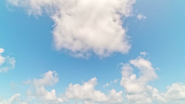 Κτίριο Κινήσεις Μαλακά Σύννεφα Φουσκωτά Αφράτα Άσπρα Σύννεφα Ουρανός Time — Αρχείο Βίντεο