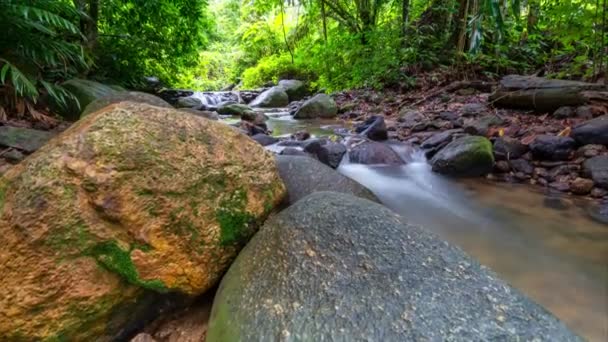 Timelapse Longue Exposition Tracking Shot Small Waterfall Beautiful Rainforest Phuket — Video