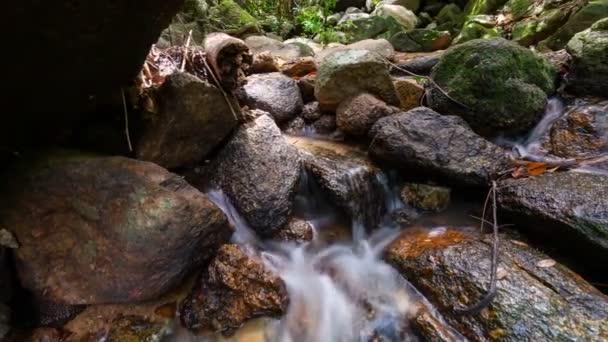 Маленький Водопад Красивых Тропических Лесах Пхукете Таиланд — стоковое видео