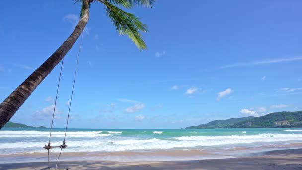 Piękne Palmy Kokosowe Plaży Phuket Tajlandia Palmy Ramka Tle Niebieskiego — Wideo stockowe