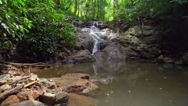 Kleiner Wasserfall Wunderschönen Regenwald Von Phuket Thailand — Stockvideo