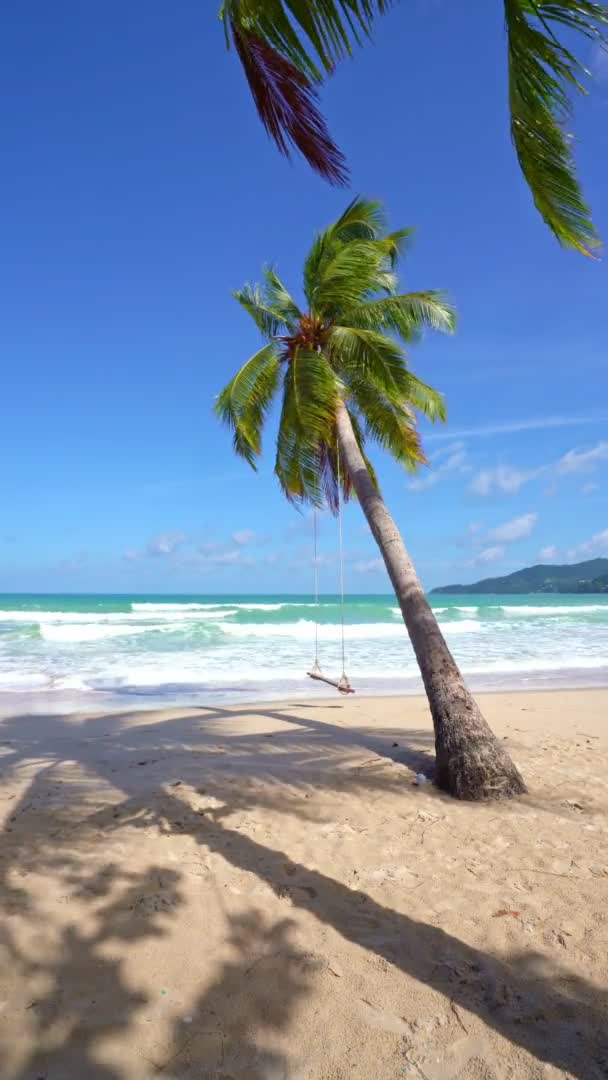 Hermosas Palmeras Coco Playa Phuket Tailandia Palmeras Marco Sobre Fondo — Vídeo de stock