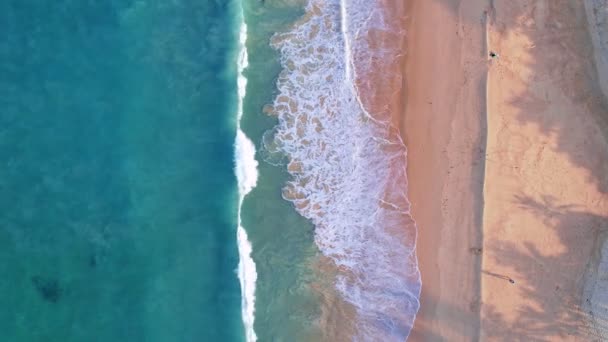 Vista Aerea Drone Tiro Volante Sulla Spiaggia Tropicale Vista Aerea — Video Stock
