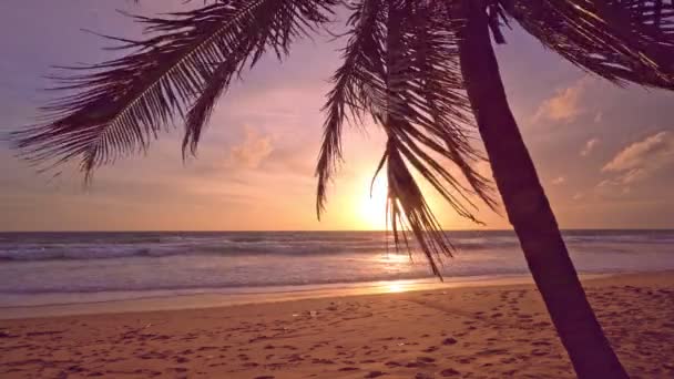 Shot Video Geweldige Zonsondergang Zonsopgang Phuket Eiland Thailand Met Palmbomen — Stockvideo