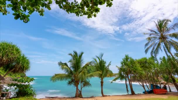 Timelapse Cielo Azul Nubes Con Palmeras Coco Marco Hojas Las — Vídeo de stock