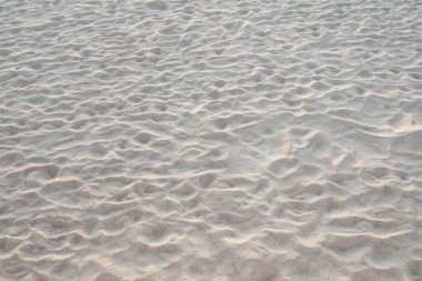 Tropikal adada kum dokusu ayrıntıları Yaz arkaplanı ve seyahat tasarımı