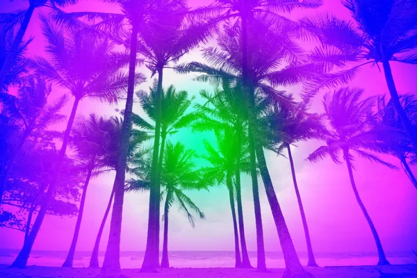 Colorido Color Pastel Las Palmeras Silueta Isla Tropical Verano Día — Foto de Stock
