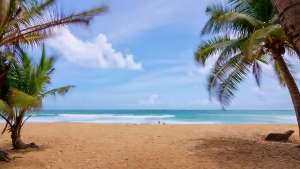 Timelapse Céu Azul Nuvens Com Coqueiros Folhas Palmeiras Quadro Praias — Vídeo de Stock