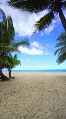 Sahildeki güzel hindistan cevizi palmiyeleri Phuket Tayland Patong plaj adaları Palmiye yaprakları güneş ışığı Palmiyeleri plajda beyaz kumlu deniz kıyısı gökyüzü yaz manzarası inanılmaz arka plan