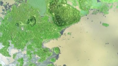 Yeşil bir bitki ormanının ortasındaki güzel göl ya da göl manzarası. Çevre felaketi ve yaşam alanı tahribatı kavramı. Hava görüntüleme Drone kamerası Sinematik Doğal doku arkaplanı