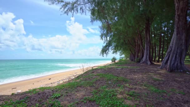 Paisagem Beira Mar Sob Céu Azul Claro Com Nuvens Pela — Vídeo de Stock