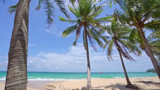 Coco Palmeras Mar Hermosa Playa Soleado Día Verano Buen Tiempo — Vídeos de Stock