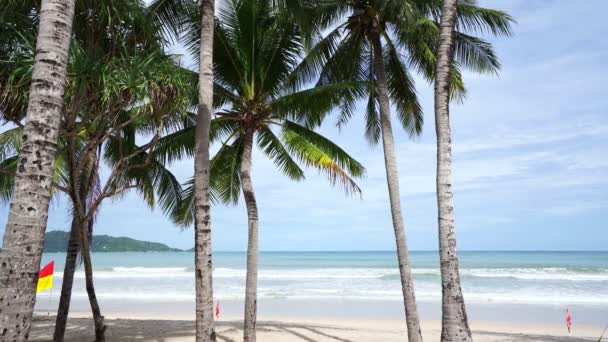 晴れた夏の日のビーチの風景のココナッツパームの木天気の良い日の背景 — ストック動画