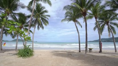 Hindistan cevizi palmiyeleri ve deniz Güzel plaj güneşli yaz günü Cennet adasında güzel bir hava günü İnanılmaz doğa manzarası ve deniz manzarası