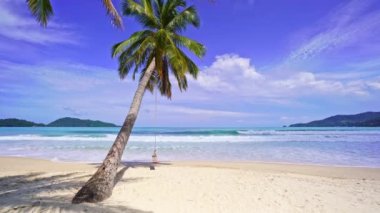 Güneşli yaz gününde kumsalda hindistan cevizi palmiyesi ağaçları. Arka planda palmiye yaprakları çerçevesi doğa manzarası.