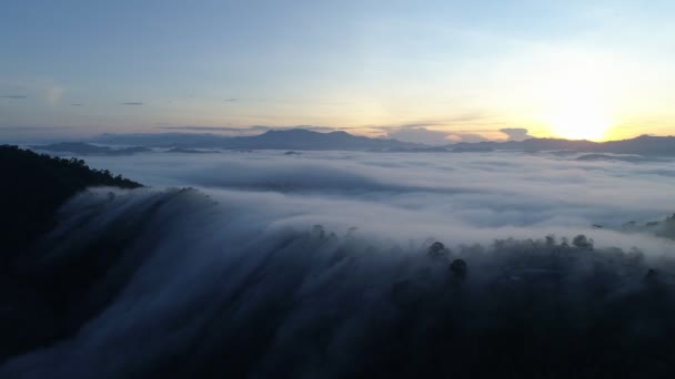 山の上を流れる霧の驚くべき海日の出や日没の空霧風光明媚な空中ビュー 黄金の太陽の下で日の出に雲と霧 — ストック動画