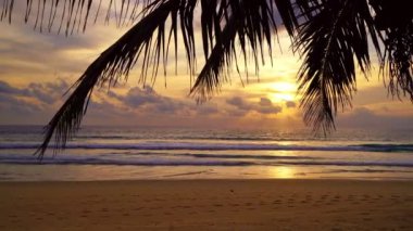 Sahilde sonbahar tatili kavramı Hindistan cevizi palmiyeli doğa çerçevesi güneş ışığıyla parıldıyor güzel günbatımı veya gündoğumu manzarası