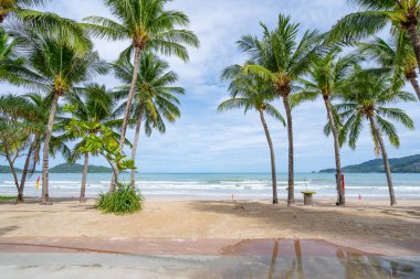 Patong Sahili 'nin etrafında palmiye ağaçları olan Phuket Adası Tayland' da Phuket Patong Patong Plajı yaz mevsiminde mavi gökyüzü arka planına sahip güzel tropik plaj..