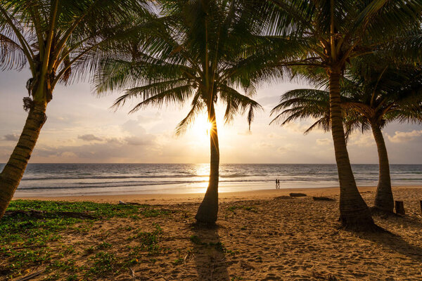 Beach summer vacations concept background Nature frame with coconut palm trees on the beach and sun light flare beautiful sunset or sunrise landscape background.