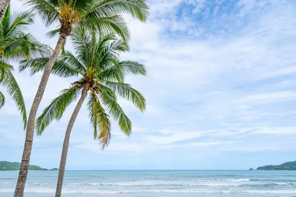 Phuket Patong Beach Summer Beach Palms Trees Patong Beach Phuket — Stock Photo, Image