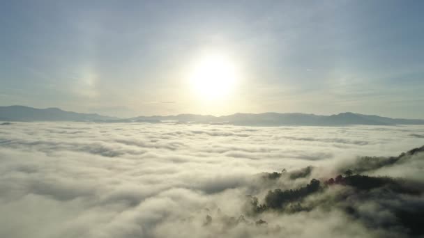 Úžasné Moře Pohybu Mlhy Tekoucí Nad Horami Východ Slunce Nebo — Stock video