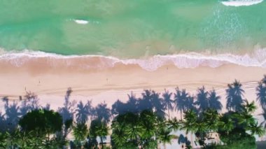 Hindistan cevizi palmiye ağaçlarının tepesi Phuket Tayland 'ın güzel patong plajında. İnanılmaz deniz kumsalı turistik turistik geziler için Andrea Denizi' nde 17-2021 güzel adasında.