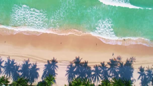 Luchtfoto Van Top Van Kokosnoot Palmbomen Het Prachtige Patong Strand — Stockvideo