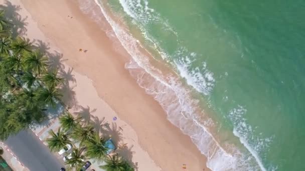 Aerial View Top View Coconut Pálmafák Gyönyörű Patong Strand Phuket — Stock videók