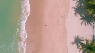 Hindistan cevizi palmiye ağaçlarının gökyüzü manzarası güzel patong plajı Phuket Tayland inanılmaz deniz kumsalı turist gezisi yeri andaman denizi güzel phuket adası