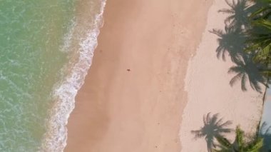 Hindistan cevizi palmiye ağaçlarının gökyüzü manzarası güzel patong plajı Phuket Tayland inanılmaz deniz kumsalı turist gezisi yeri andaman denizi güzel phuket adası