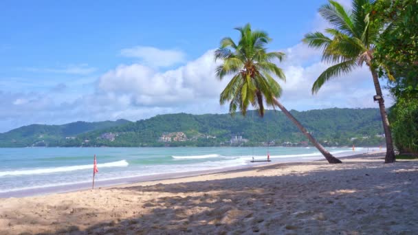 Piękne Palmy Kokosowe Plaży Phuket Tajlandia Patong Plaża Wyspy Palmy — Wideo stockowe