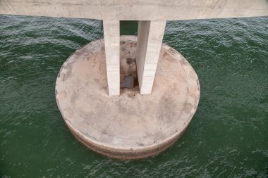 Çimento sütun köprünün kiraz kuşu .